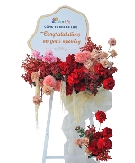 Hoa chúc mừng 14352