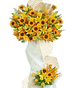 Hoa chúc mừng 14371