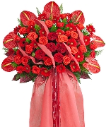 Hoa chúc mừng 14372