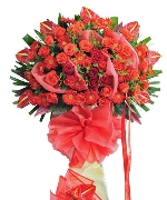 Hoa yêu thương 14374