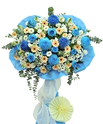 Hoa chúc mừng 14378