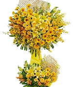 Hoa yêu thương 14379