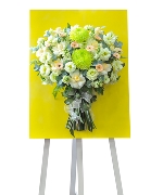 Hoa chúc mừng 2312