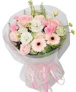 Hoa chúc mừng 3157