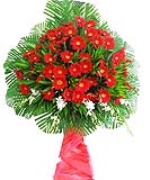 Hoa chúc mừng 4047