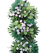 Hoa chúc mừng 5145