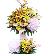 Hoa chúc mừng 5187