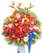 Hoa chúc mừng 7174