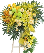 Hoa chúc mừng 8451