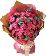 Hoa chúc sức khỏe 11586