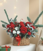 Hoa Giáng Sinh 13812