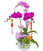 Hoa khai trương 11126