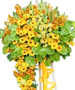 Khởi đầu thuận lợi