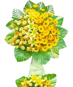 Kệ Chúc Mừng 03