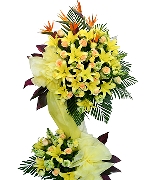 Hoa khai trương 6905