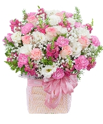 Khuyến mãi 13129