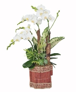 Khuyến mãi 14563