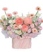 Khuyến mãi 15038