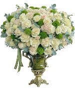 Khuyến mãi 15331