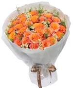 Only rose premium 13