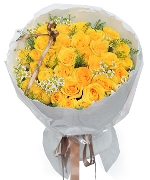 Khuyến mãi 16426