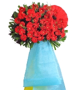 Khuyến mãi 16569