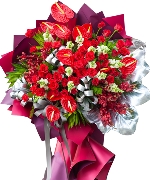 Lan hồ điệp 11031