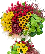 Lan hồ điệp 11570