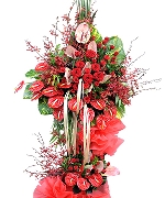 Lan hồ điệp 5192