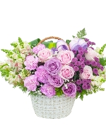 Hoa sinh viên 13295