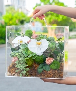 Hộp hoa tươi 15564