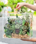 Hộp hoa tươi 15565