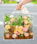 Hộp hoa tươi 15567