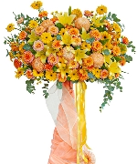 Hoa tươi màu cam 14419