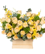 Hoa tươi màu cam 8042