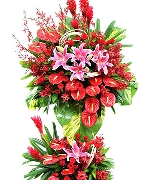 Hoa tươi màu đỏ 5277