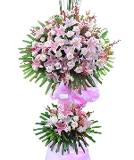 Hoa tươi màu hồng 4940