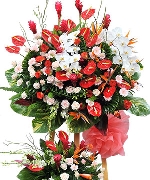 Hoa tươi màu hồng 5303