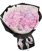 Hoa tươi màu hồng 8288