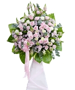 Hoa tươi màu hồng 9448