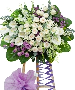 Hoa tươi màu tím 11616