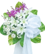 Hoa tươi màu tím 13147