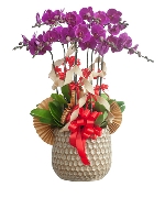 Hoa tươi màu tím 13634