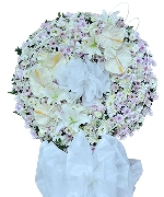 Hoa tươi màu tím 5051