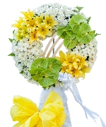 Hoa tươi màu trắng 10966