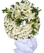 Hoa tươi màu trắng 3087