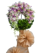 Hoa tươi màu trắng 9452