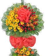 Hoa tươi màu vàng 3967