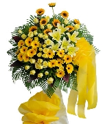 Hoa tươi màu vàng 4369