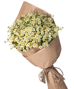 Hoa tươi màu vàng 8424